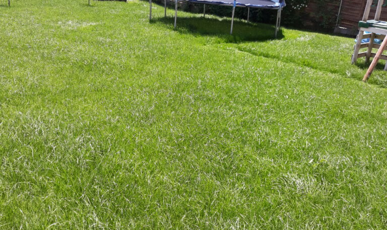 firma amenajare gradini