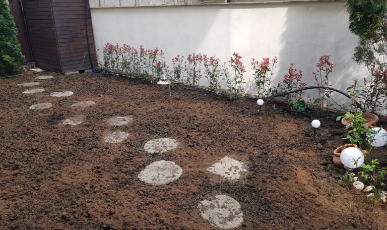 amenajare gradini plante ornamentale