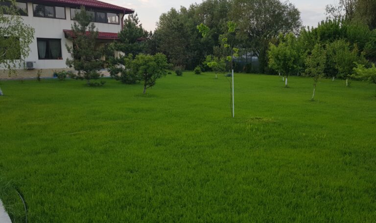 pret rulou gazon ilfov