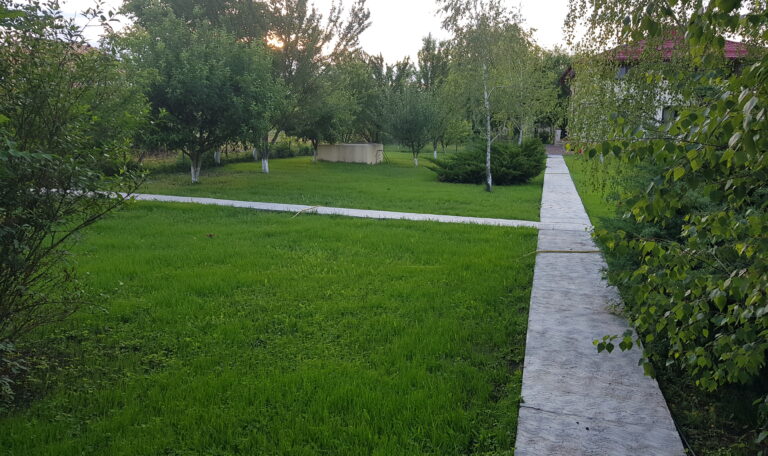 firma realizare alee pietonala