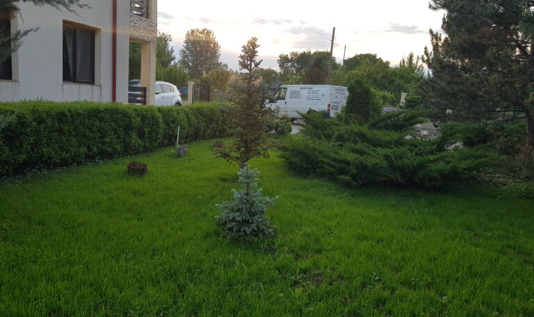 proiect sisteme irigatii gazon