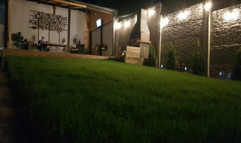 servicii peisagistica corbeanca