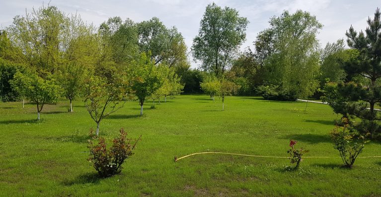 plantare plante sezon
