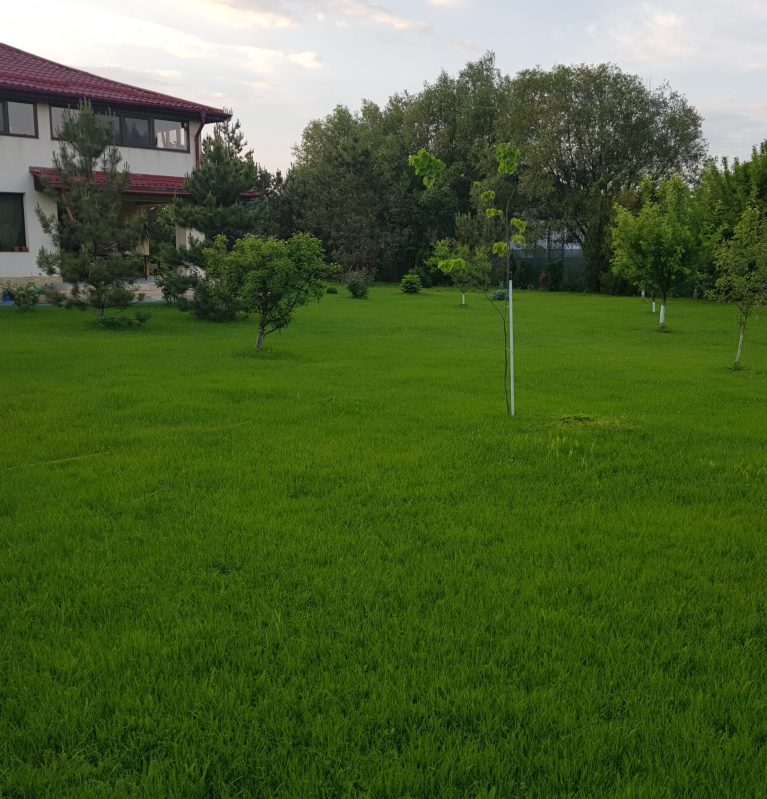 amenajare livada
